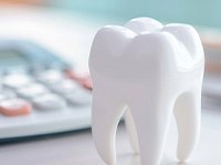 Model tooth with calculator blurry in background