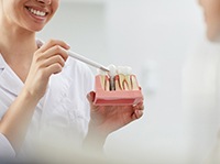 dentist showing a patient a dental implant model